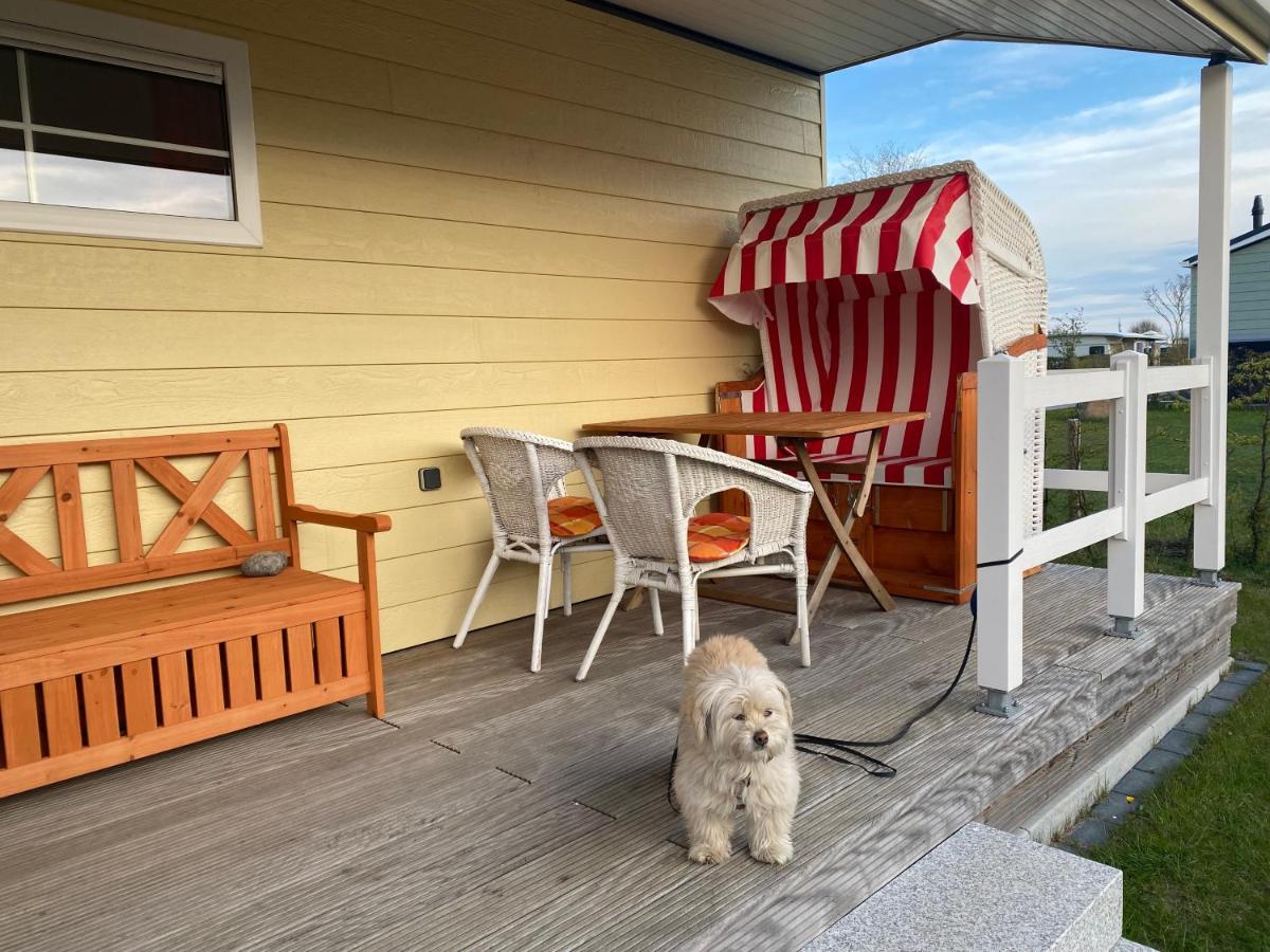 Ostermade Klintdoerp 110 Hotel Michaelsdorf  Luaran gambar